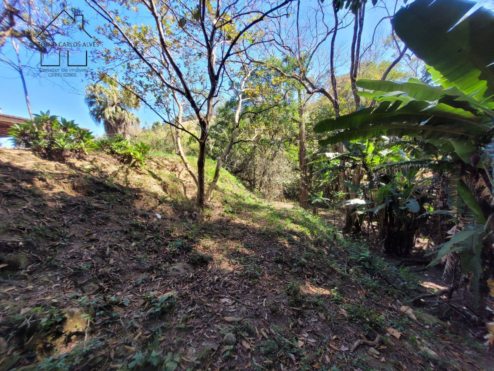 Chácara, 2 quartos, 8000 m² - Foto 60