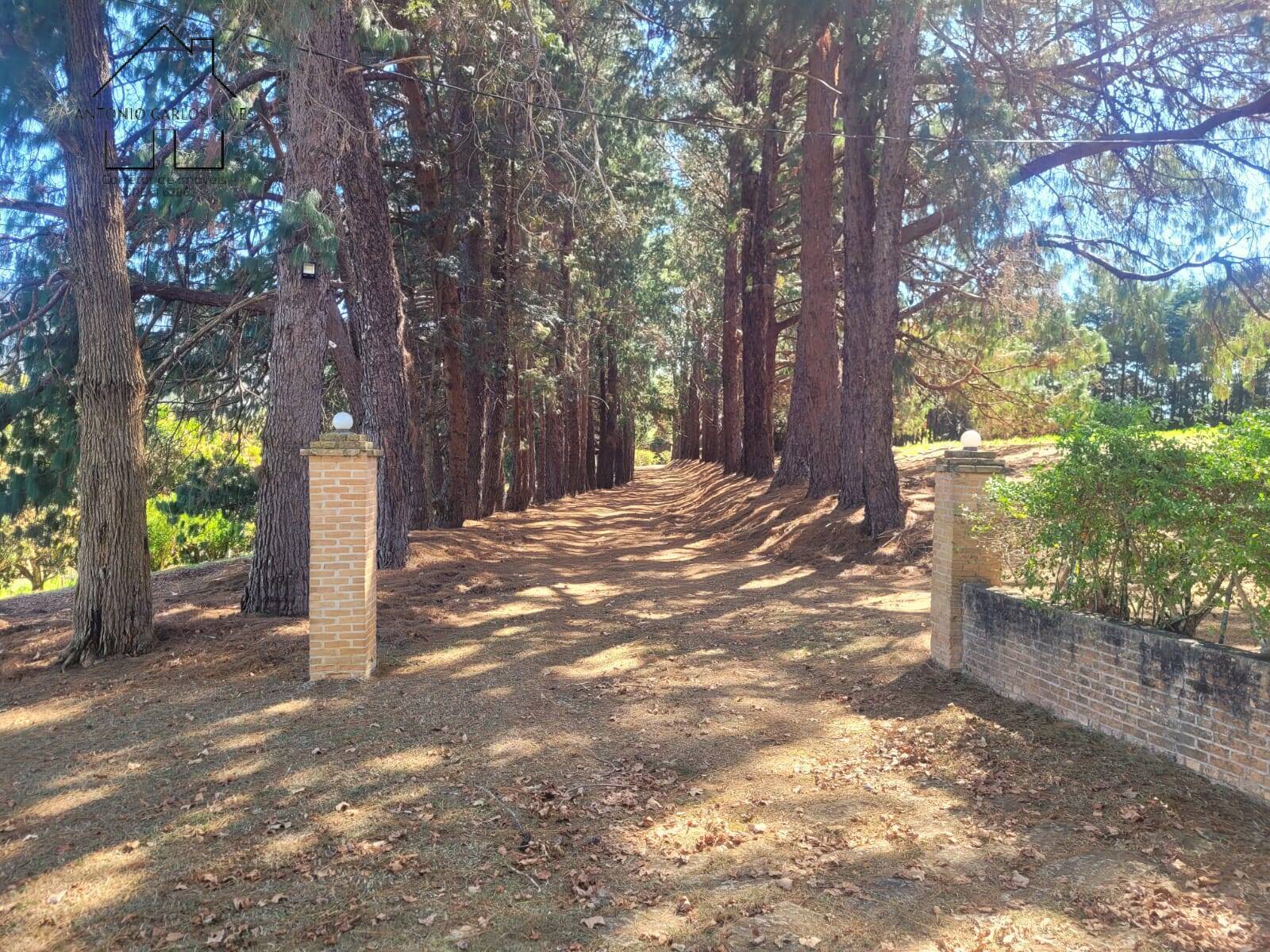 Sítio, 5 quartos, 2 hectares - Foto 8