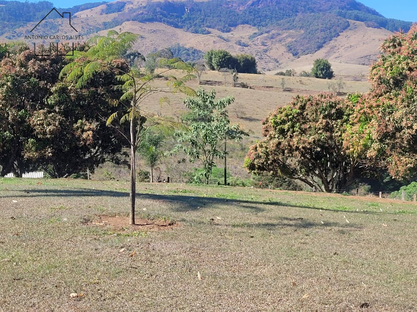 Sítio, 5 quartos, 2 hectares - Foto 16