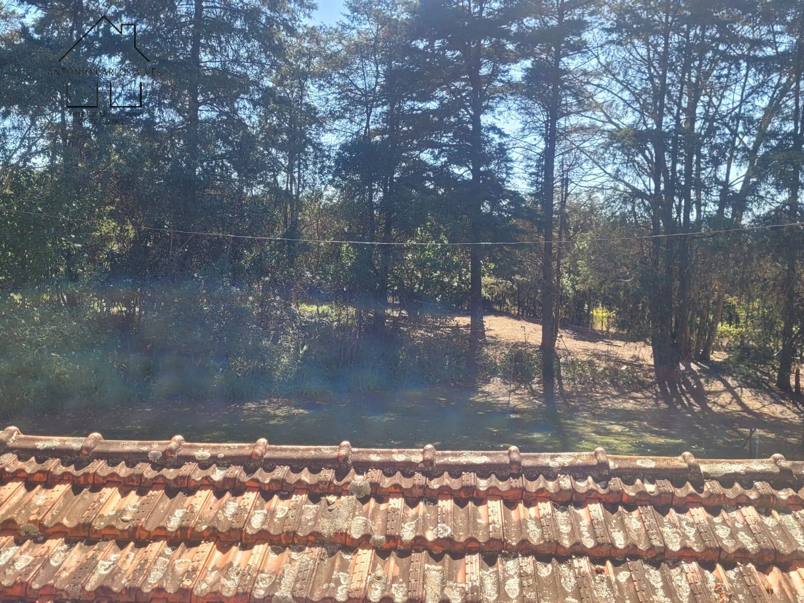 Sítio, 5 quartos, 2 hectares - Foto 61