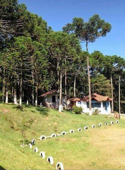 Prédio Inteiro, 308 m² - Foto 10