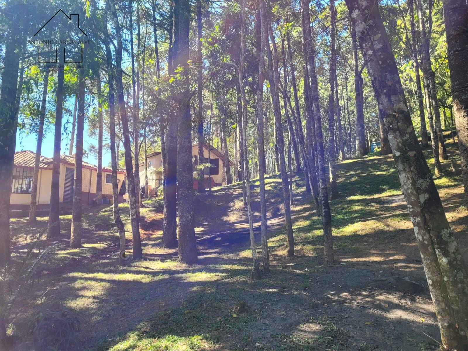 Prédio Inteiro, 308 m² - Foto 57