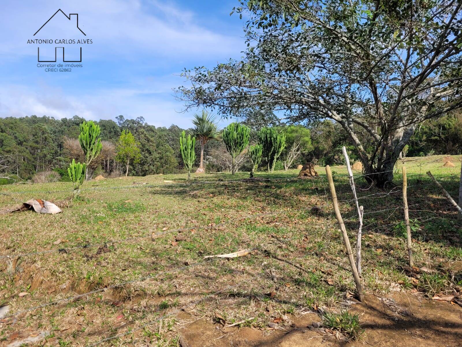 Terreno, 2 hectares - Foto 6