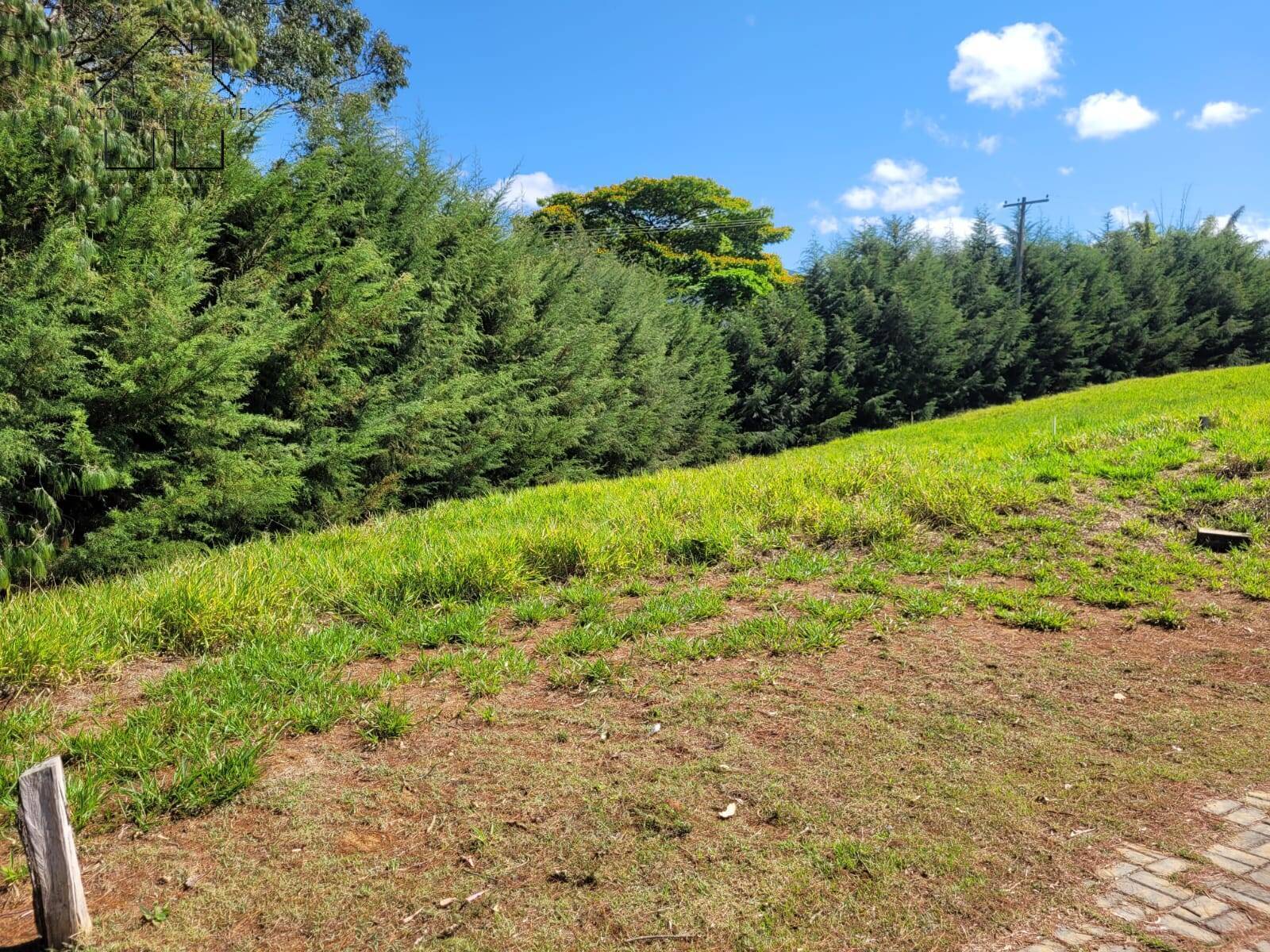 Terreno, 1000 m² - Foto 7