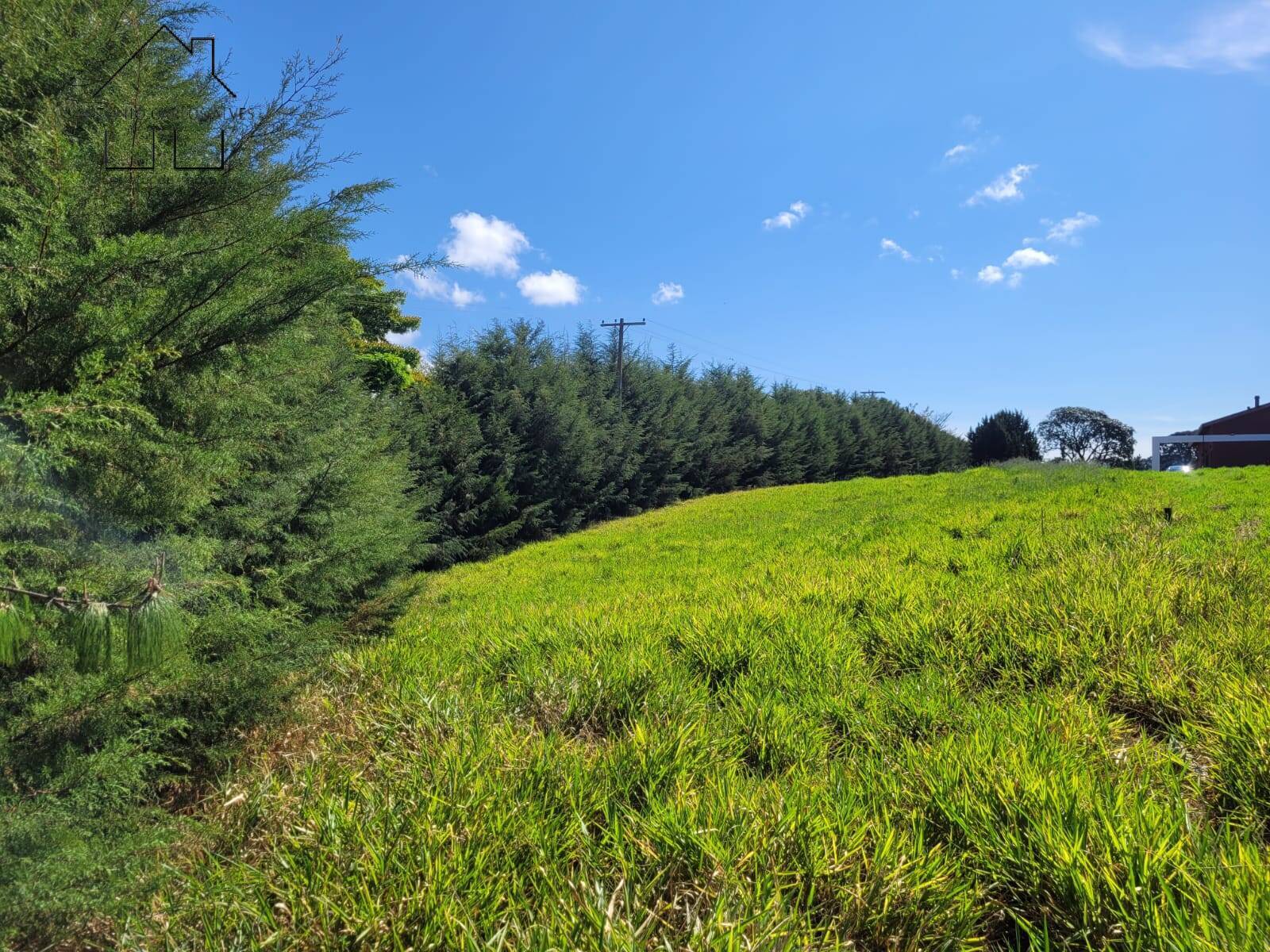 Terreno, 1000 m² - Foto 8