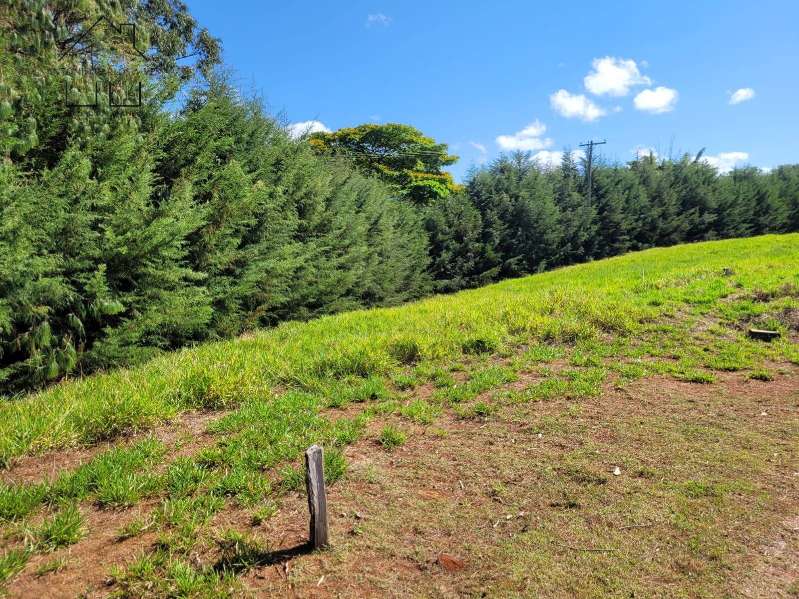 Terreno, 1000 m² - Foto 10
