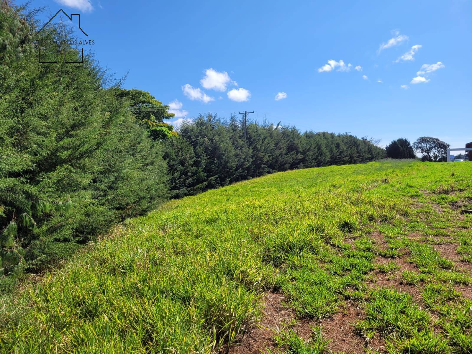 Terreno, 1000 m² - Foto 11