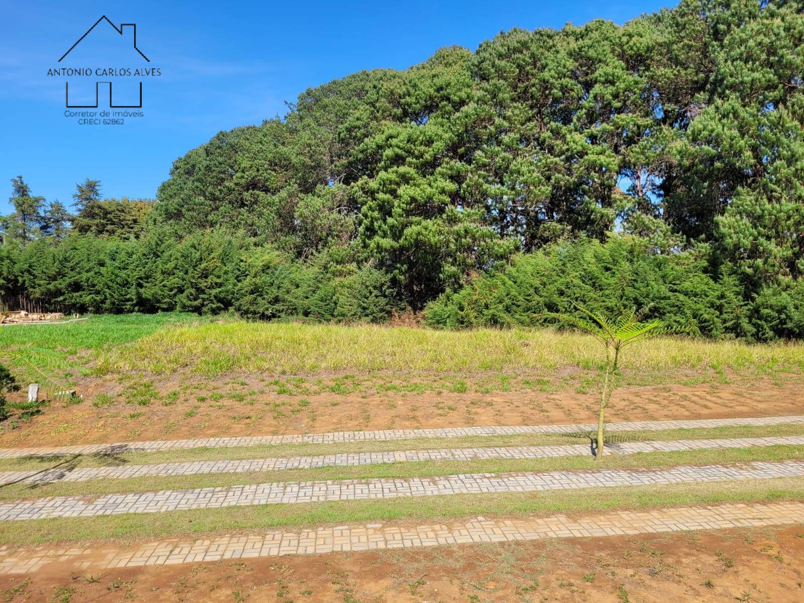Terreno, 1000 m² - Foto 12
