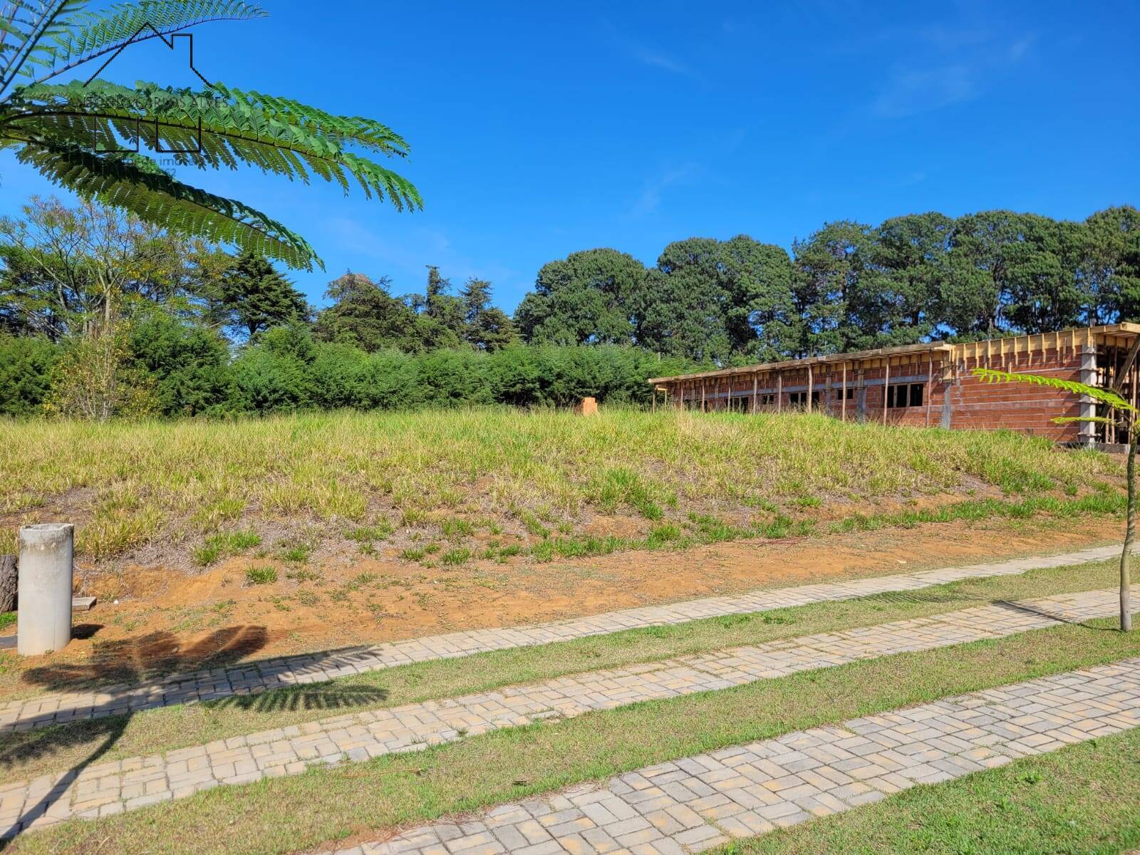 Terreno, 1000 m² - Foto 7