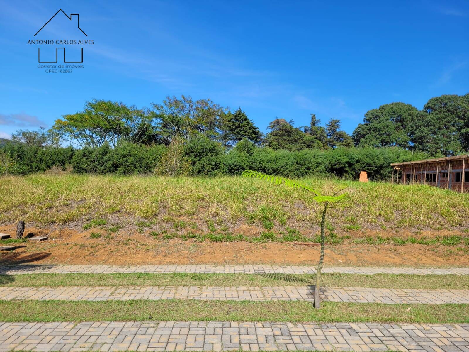 Terreno, 1000 m² - Foto 8