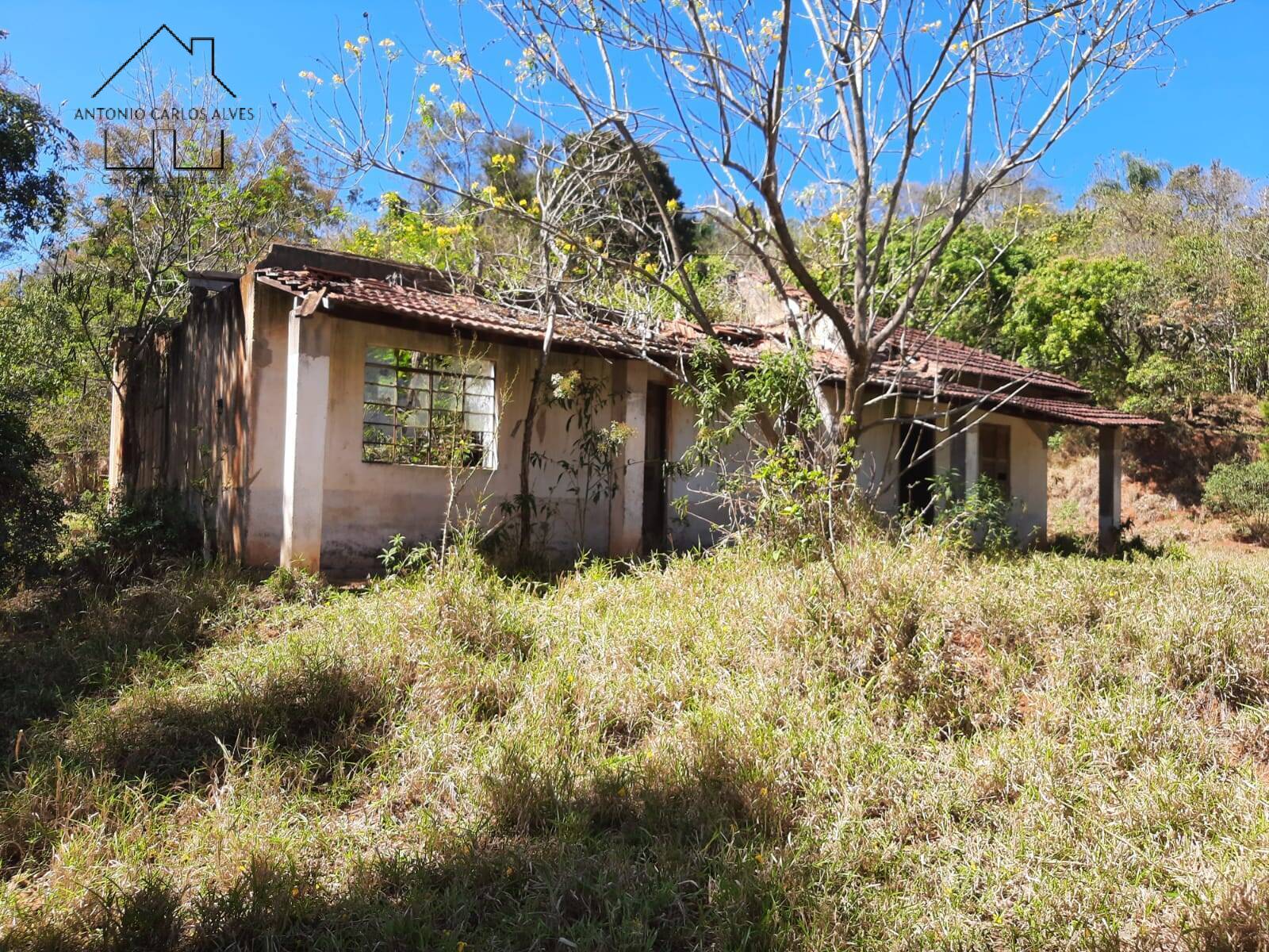 Sítio, 2 quartos, 2 hectares - Foto 7