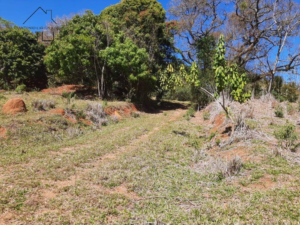 Terreno, 7 hectares - Foto 8