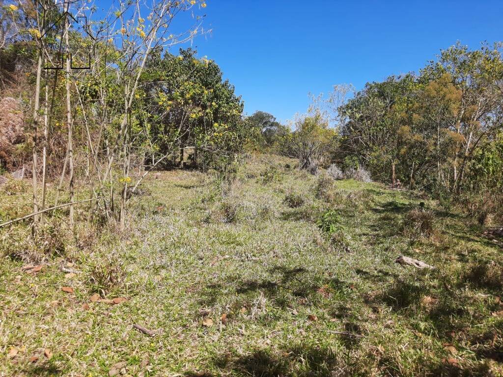 Terreno, 7 hectares - Foto 16