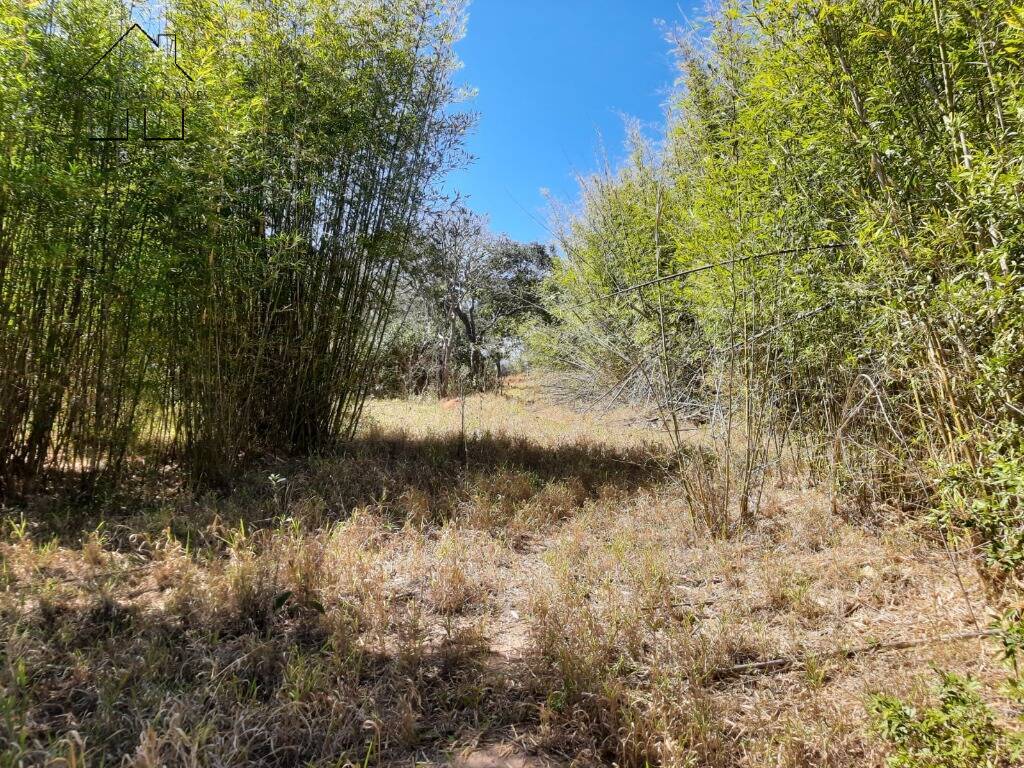 Terreno, 7 hectares - Foto 17