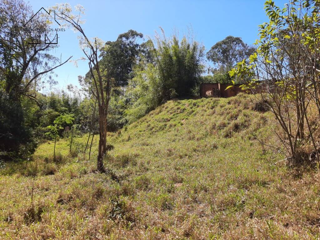Terreno, 7 hectares - Foto 20