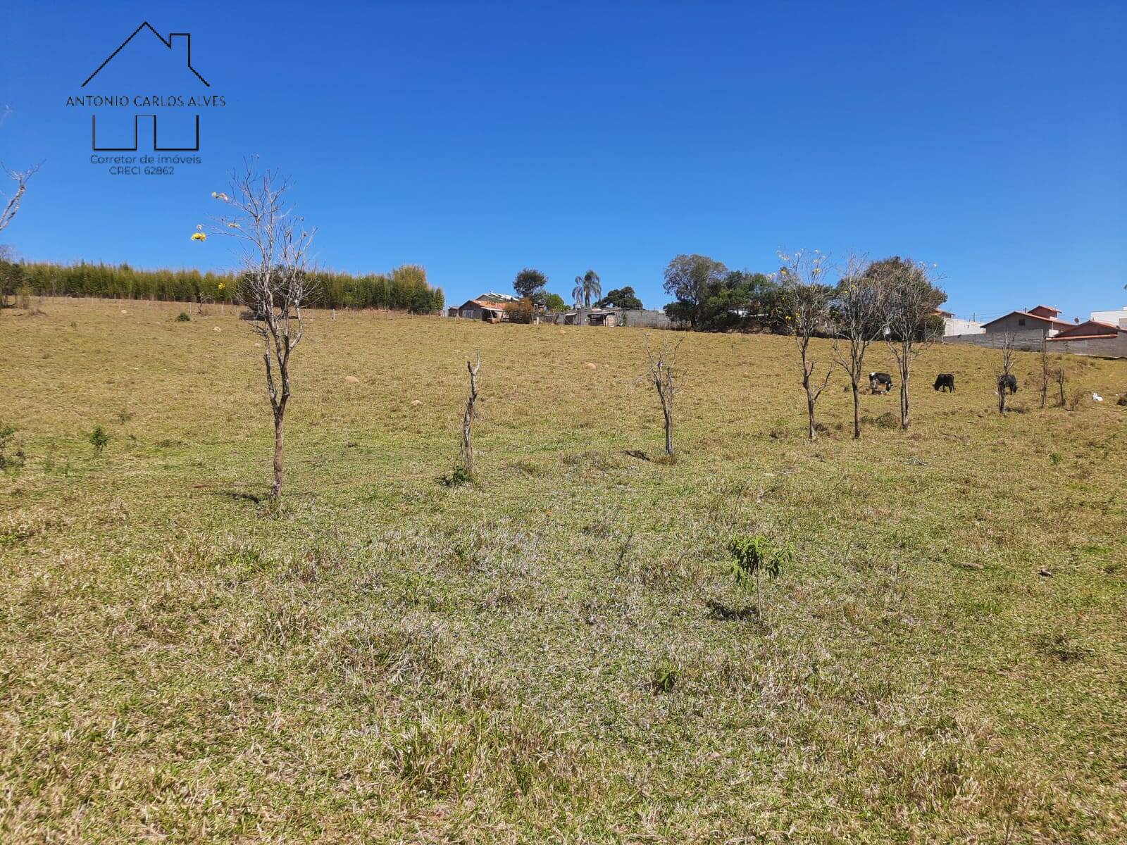 Terreno, 7 hectares - Foto 34