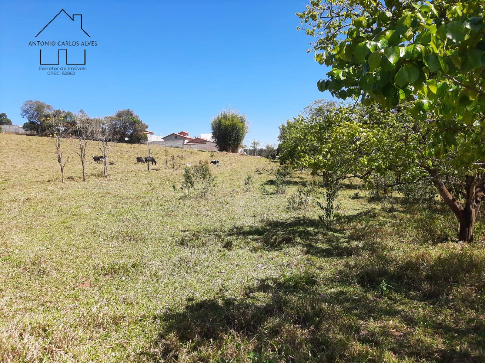 Terreno, 7 hectares - Foto 35