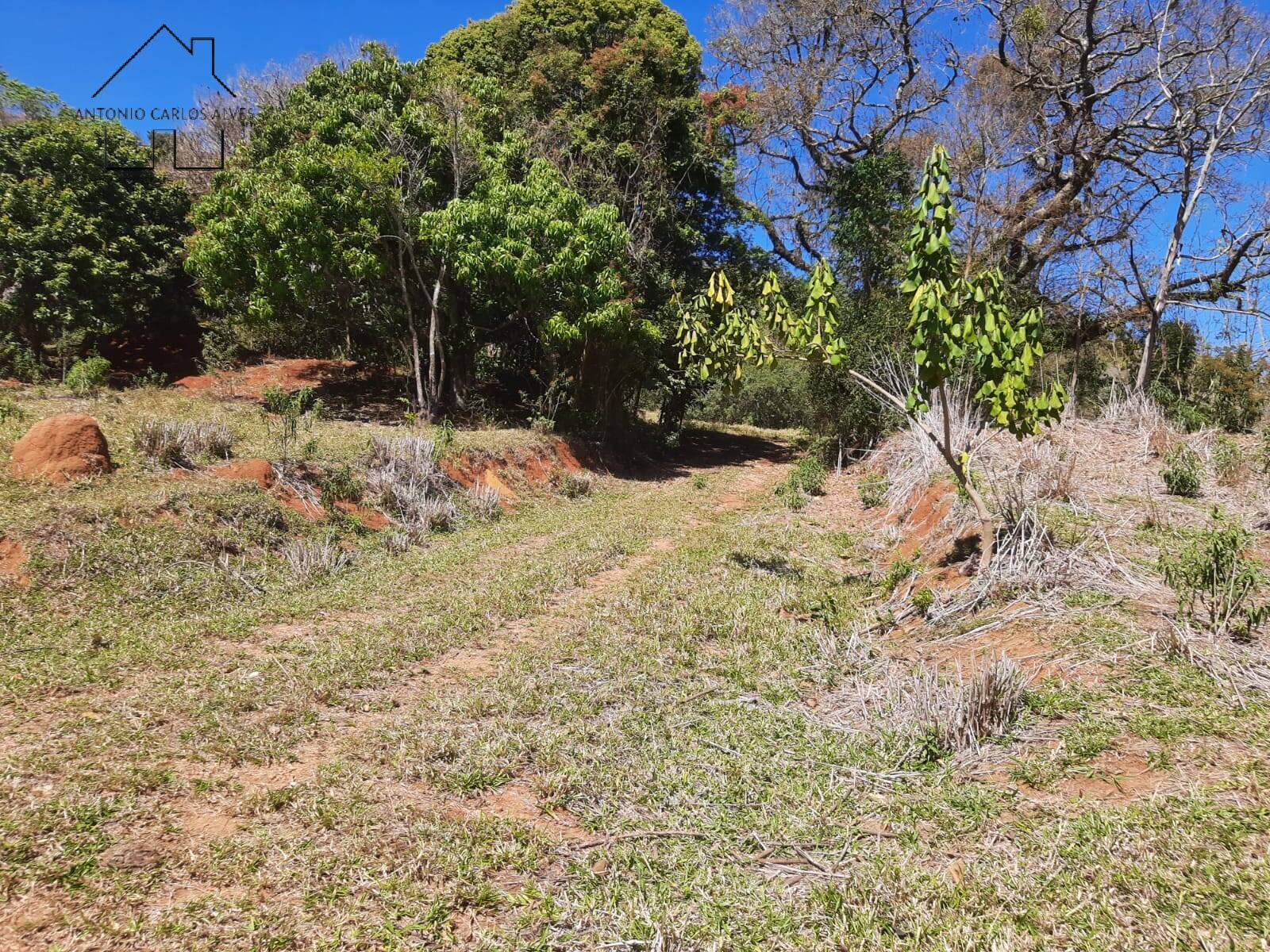 Terreno, 7 hectares - Foto 39