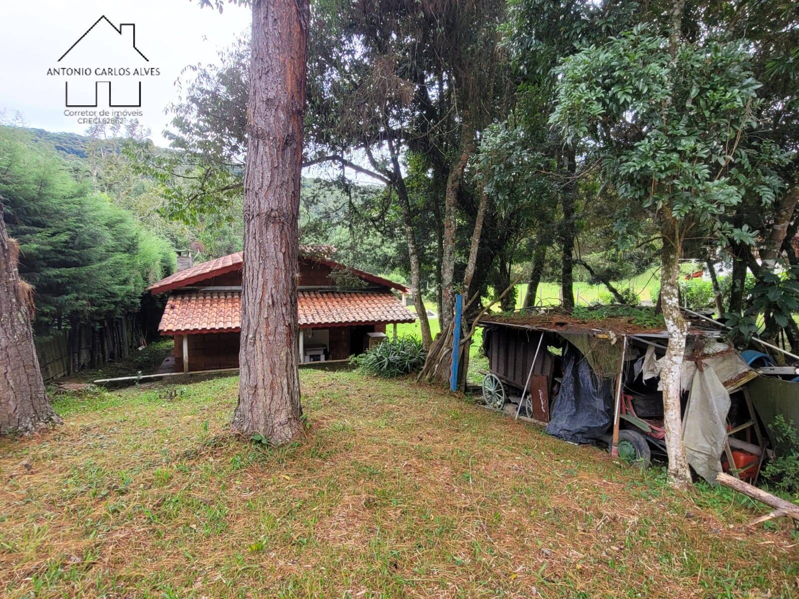 Chácara, 2 quartos, 3395 m² - Foto 36