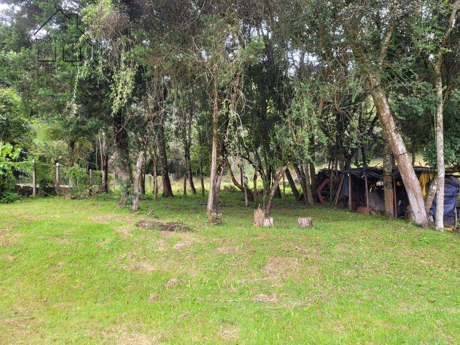 Chácara, 2 quartos, 3395 m² - Foto 40
