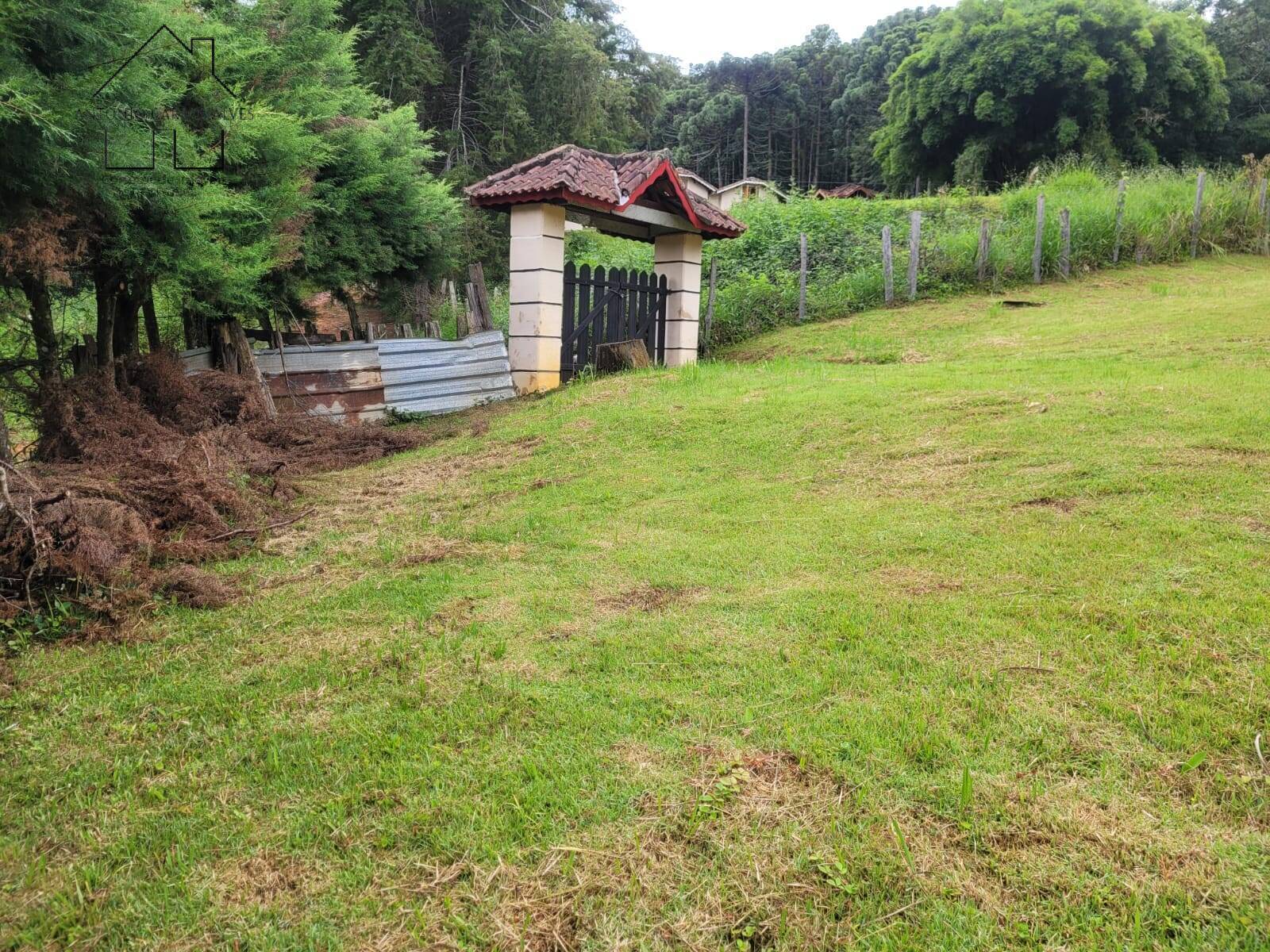 Chácara, 2 quartos, 3395 m² - Foto 44