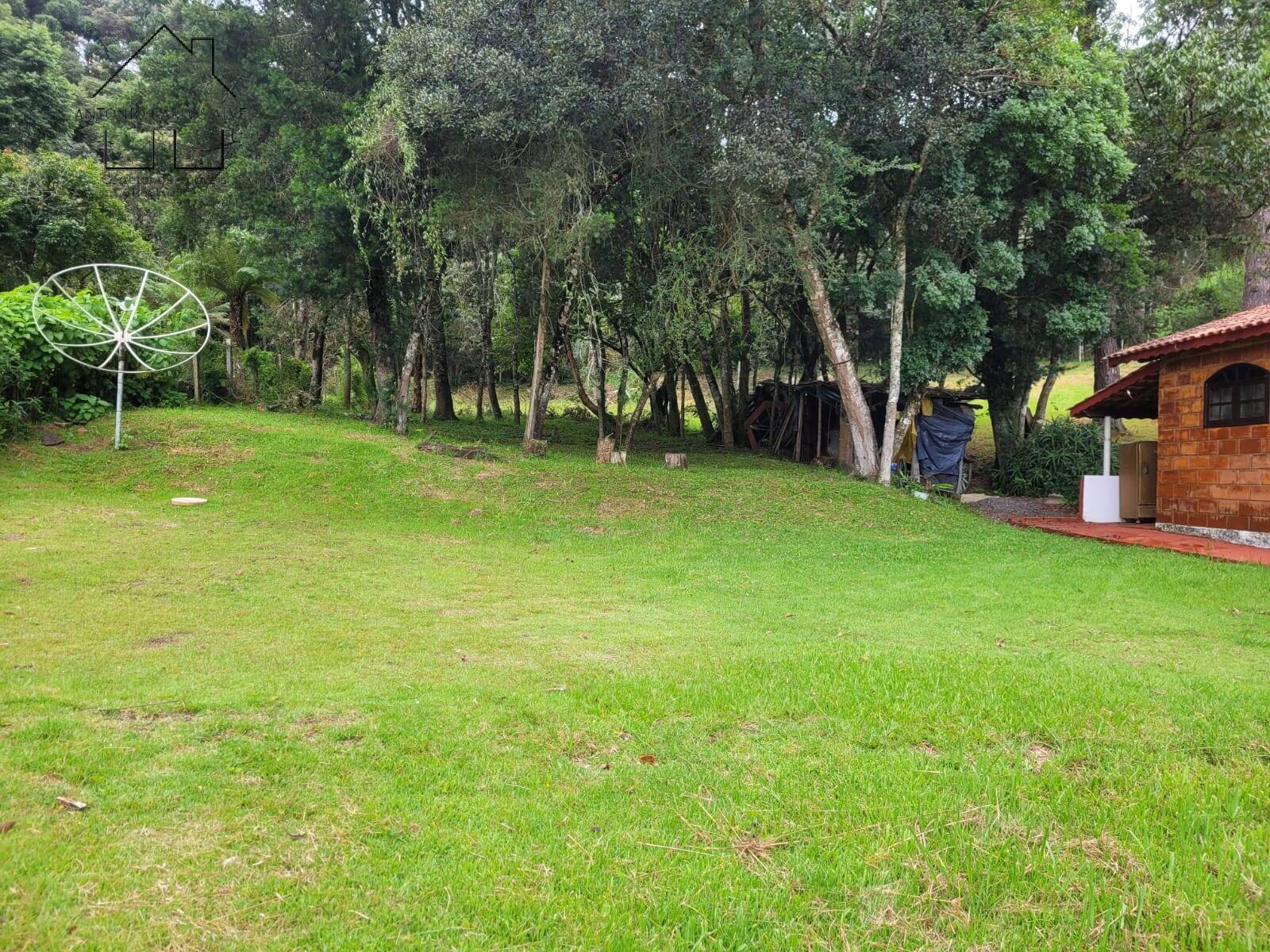 Chácara, 2 quartos, 3395 m² - Foto 41