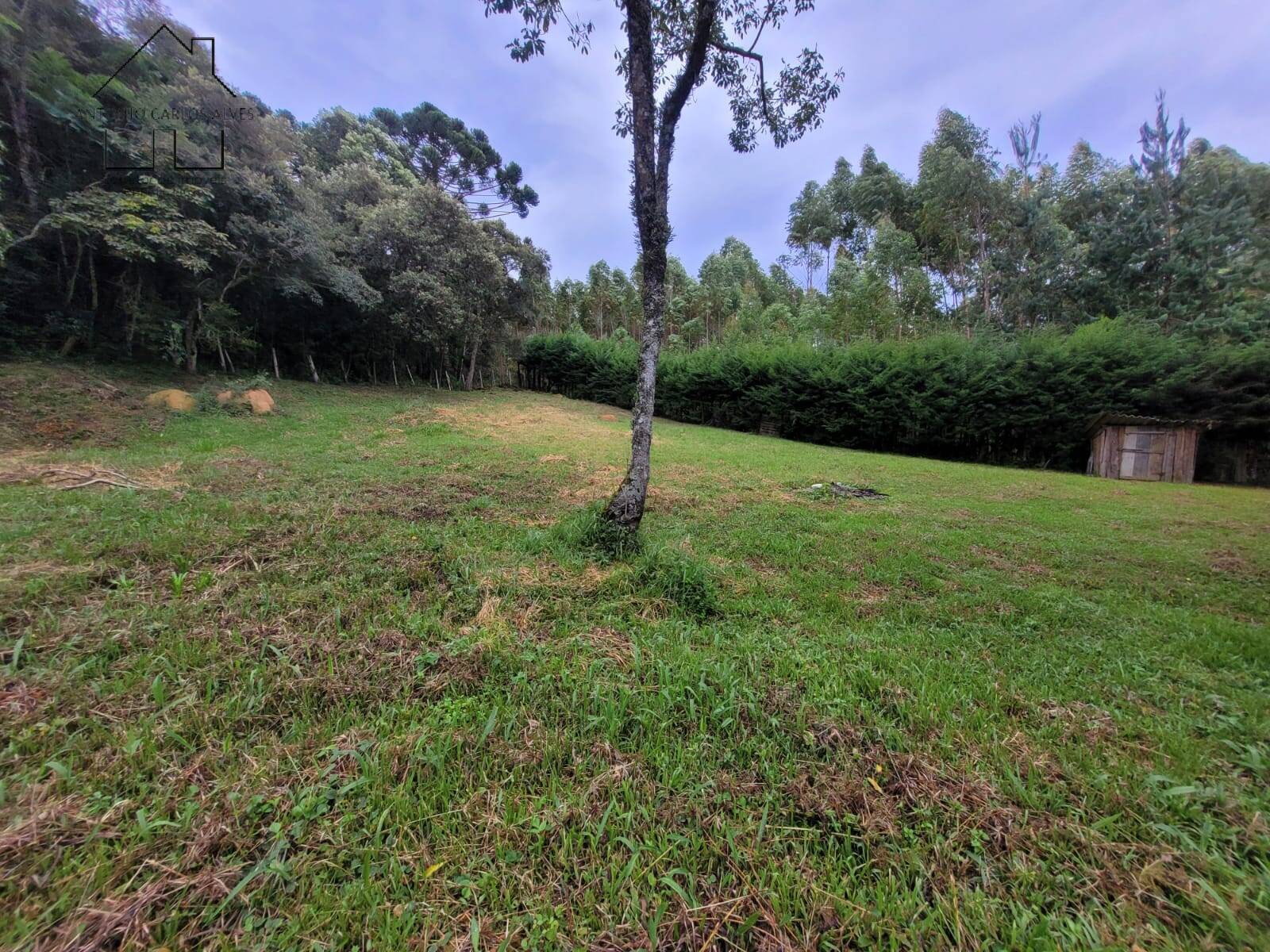 Chácara, 2 quartos, 3395 m² - Foto 47