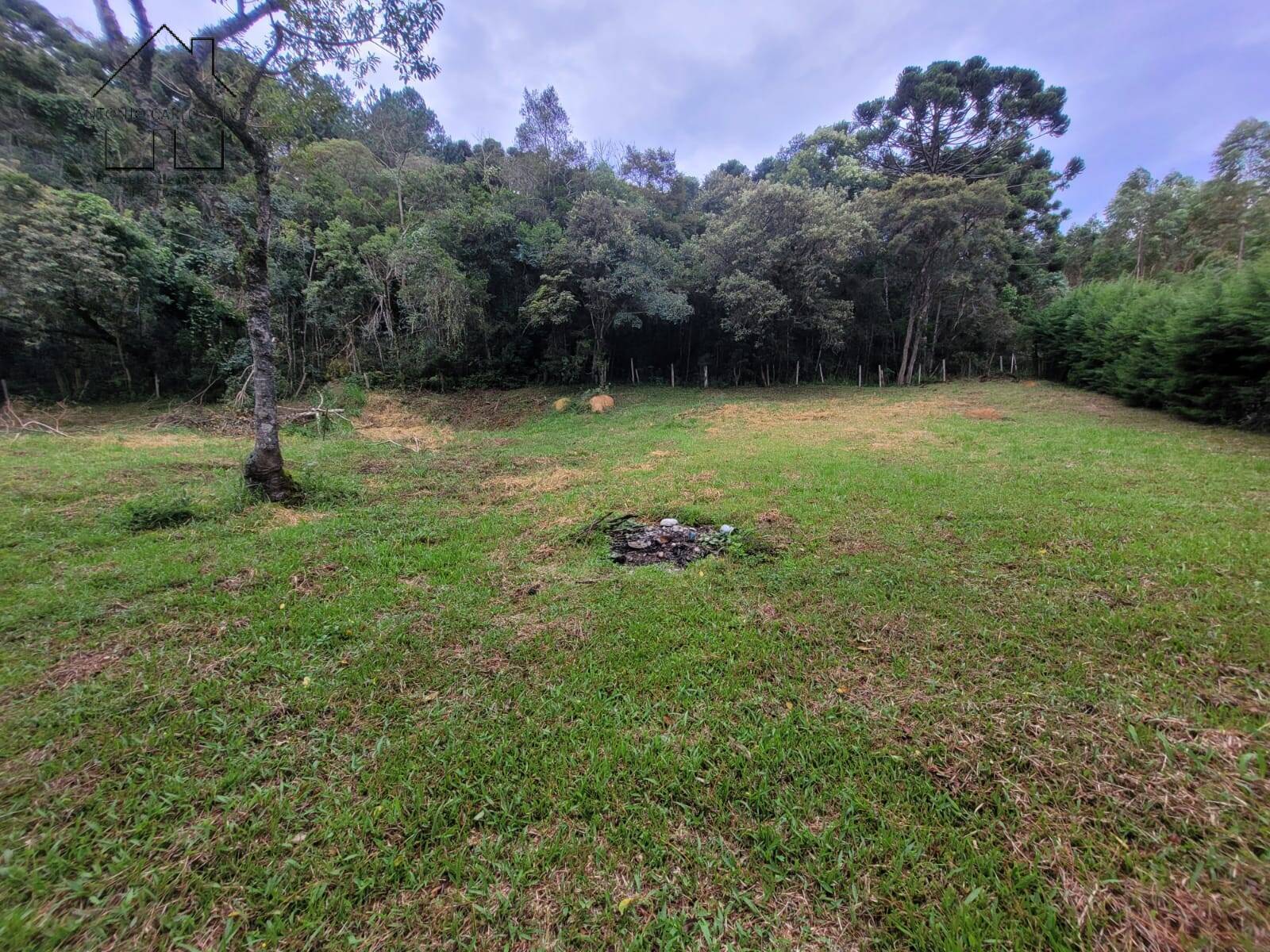 Chácara, 2 quartos, 3395 m² - Foto 49