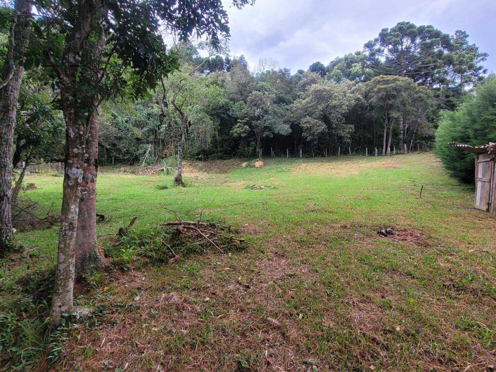 Chácara, 2 quartos, 3395 m² - Foto 48