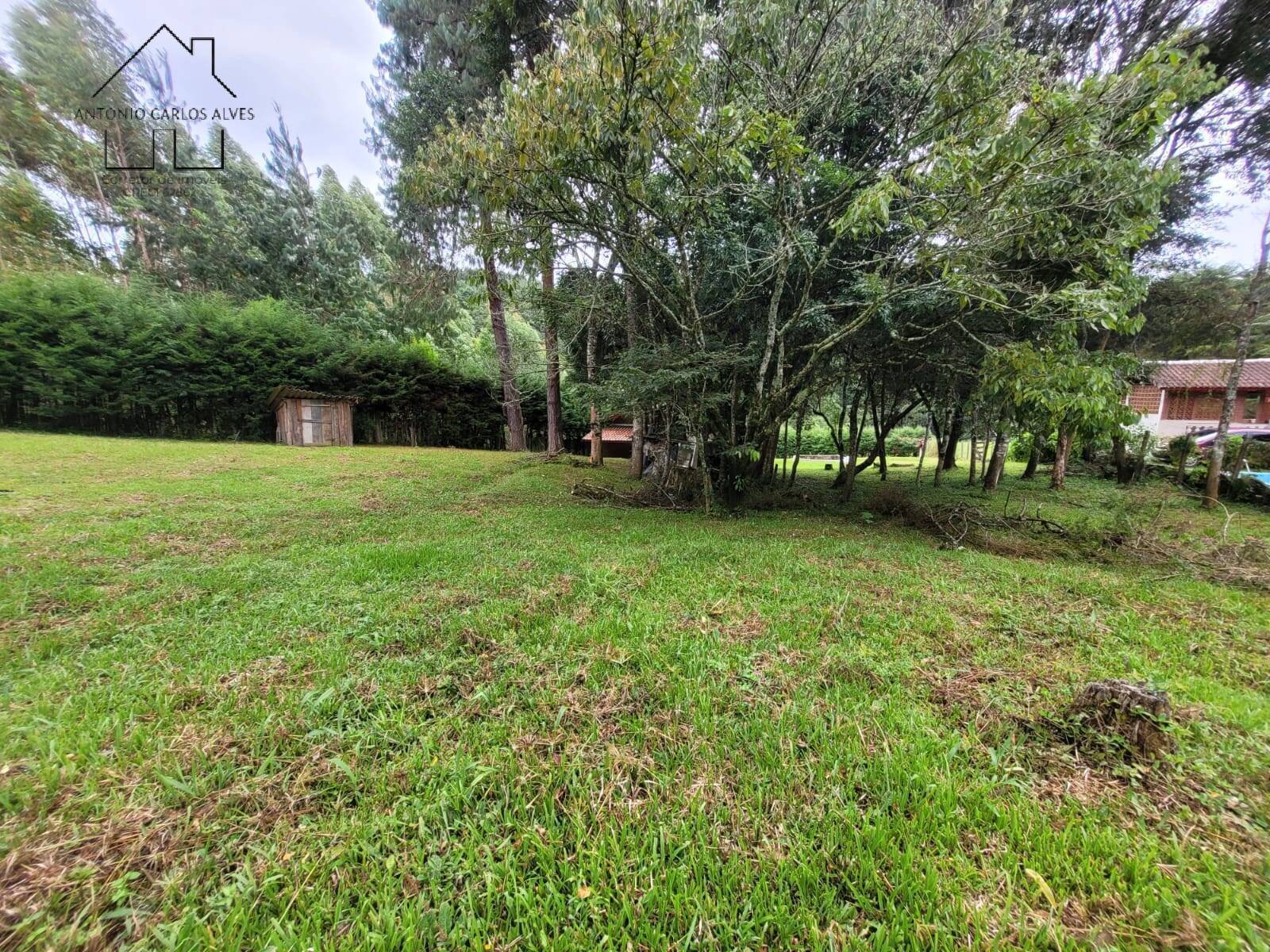 Chácara, 2 quartos, 3395 m² - Foto 51