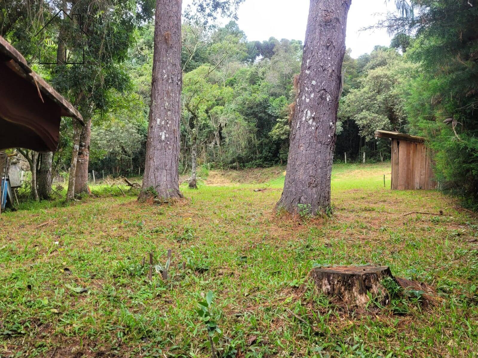 Chácara, 2 quartos, 3395 m² - Foto 50
