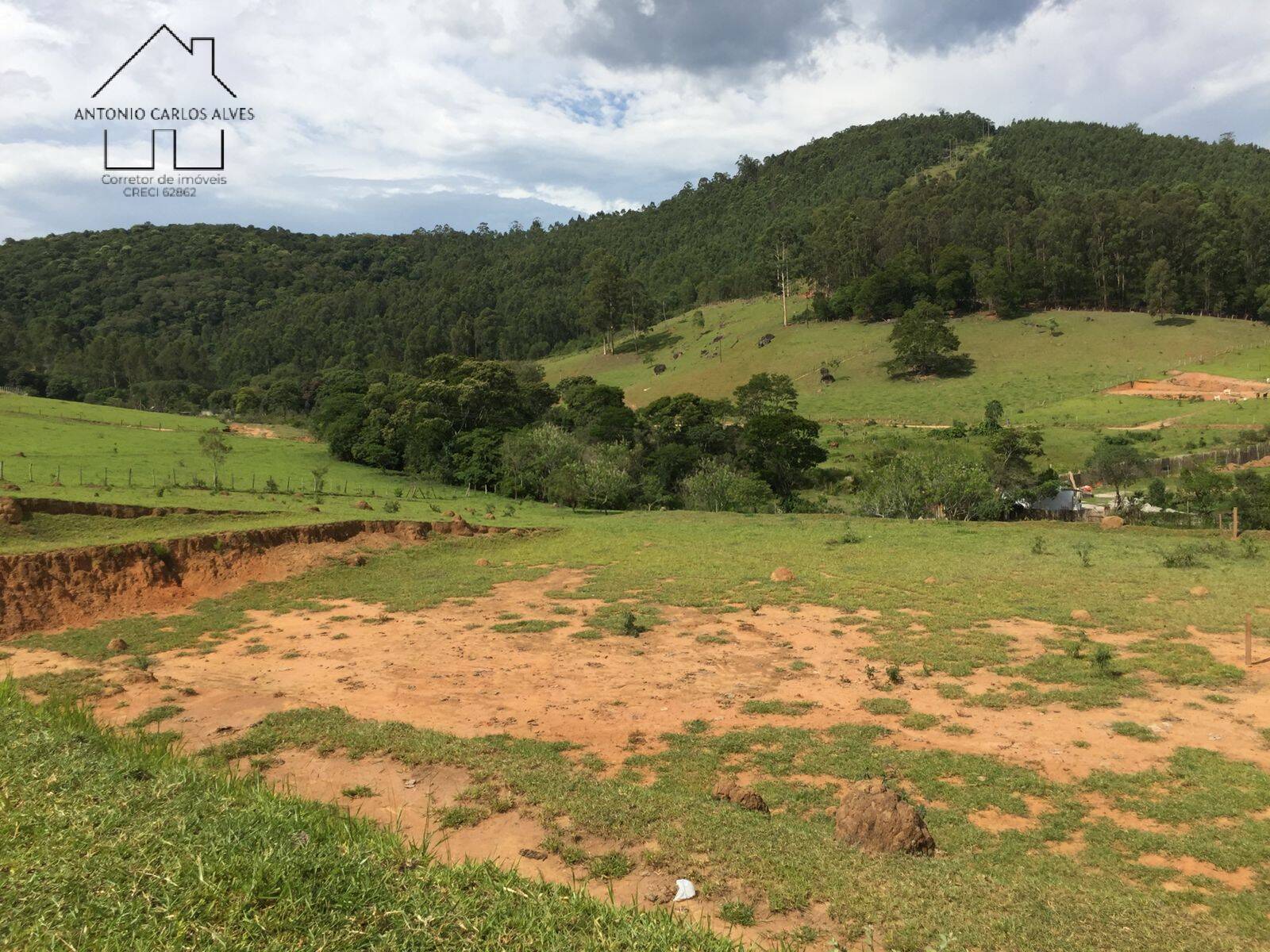 Terreno, 2 hectares - Foto 6