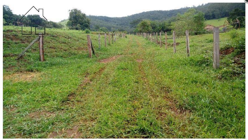 Terreno, 2 hectares - Foto 4