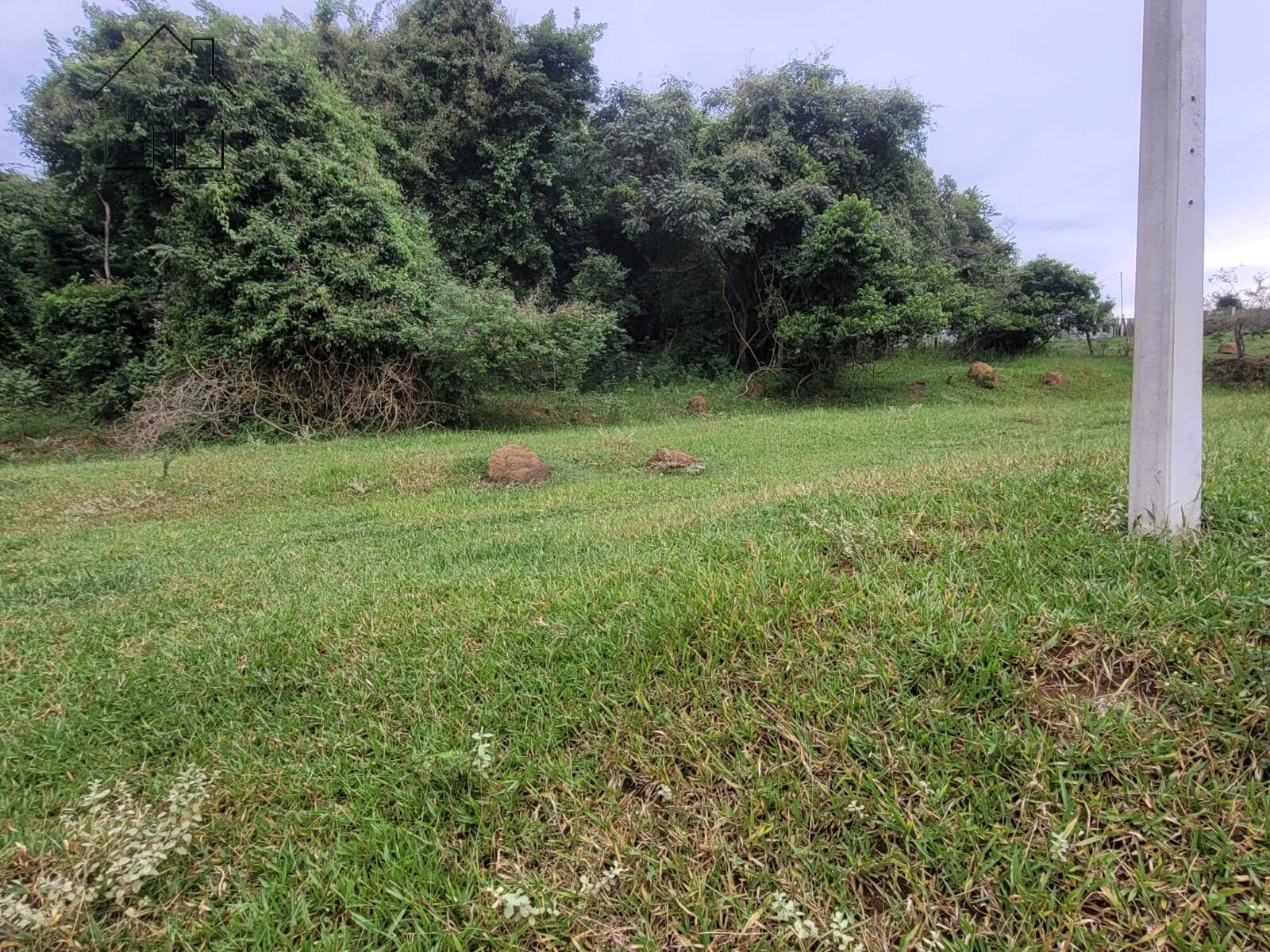 Terreno, 2 hectares - Foto 11
