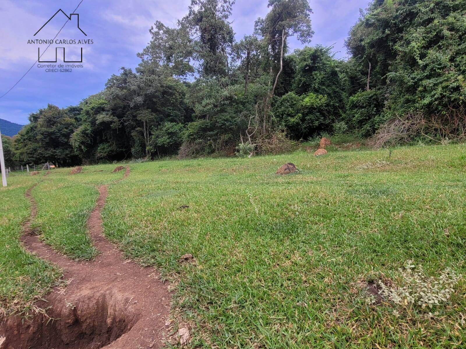 Terreno, 2 hectares - Foto 12