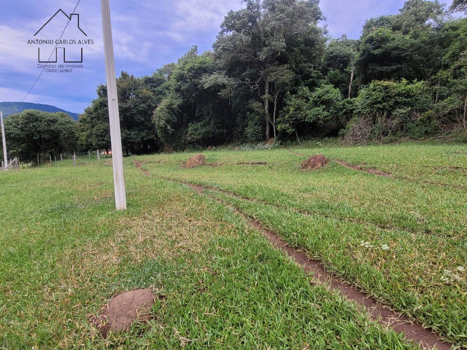 Terreno, 2 hectares - Foto 14