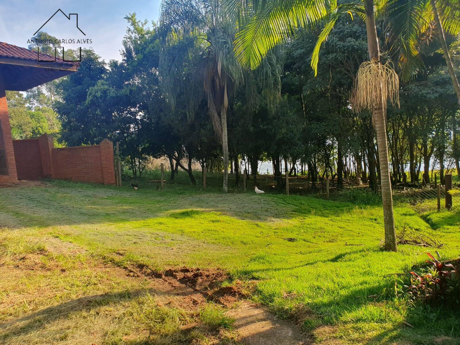 Casa, 3 quartos, 250 m² - Foto 47