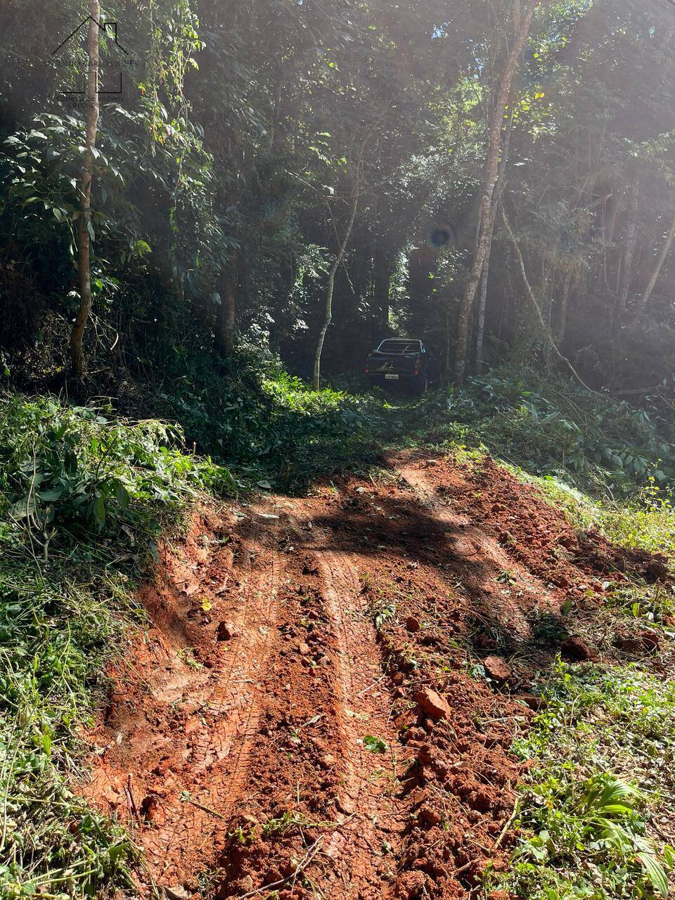 Terreno, 6 hectares - Foto 1