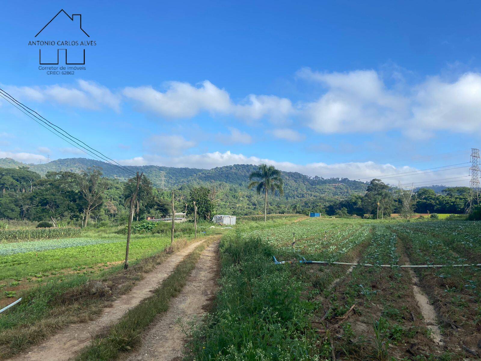 Terreno, 19 hectares - Foto 6