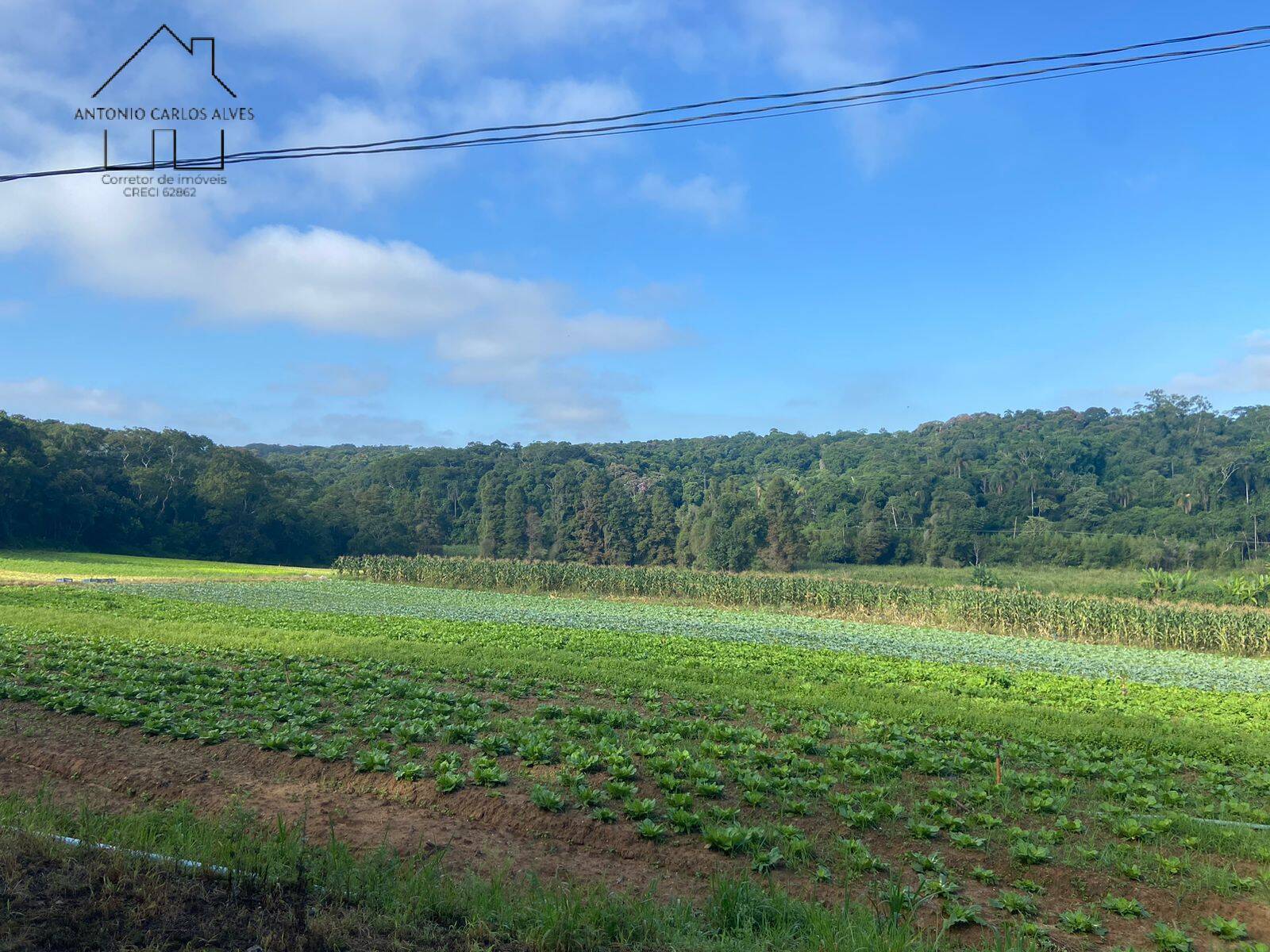 Terreno, 19 hectares - Foto 7