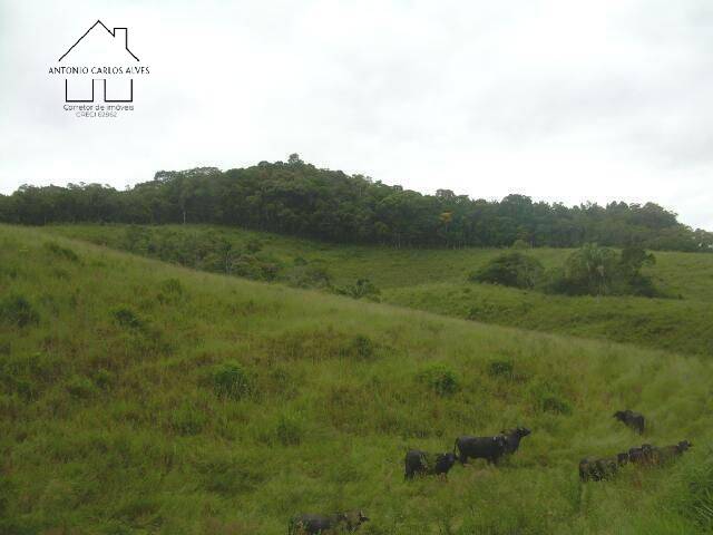 Terreno, 19 hectares - Foto 26