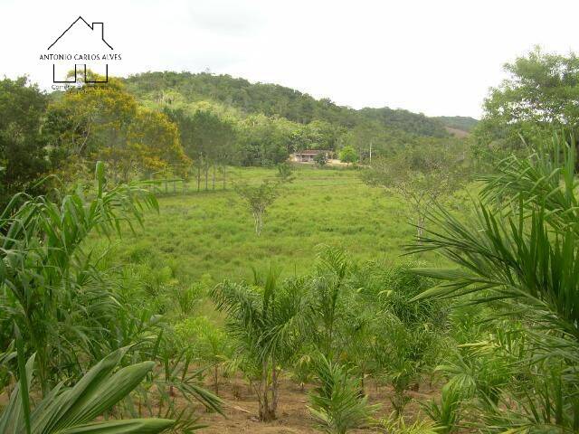 Terreno, 19 hectares - Foto 27