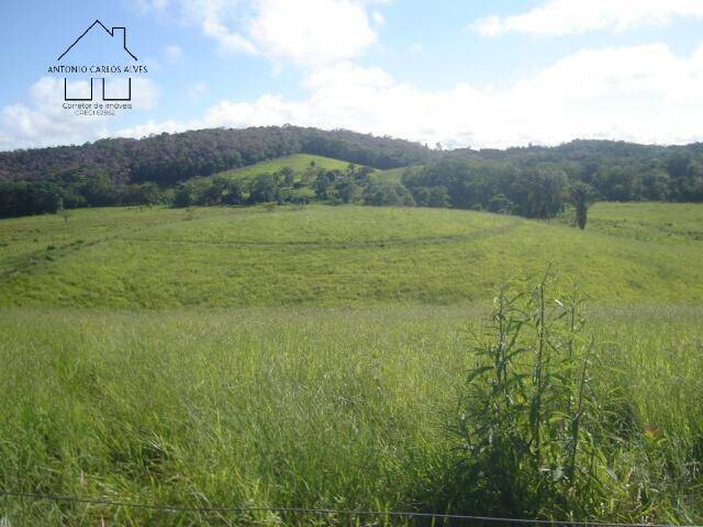 Terreno, 19 hectares - Foto 24