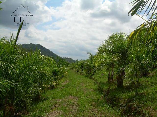 Terreno, 19 hectares - Foto 28