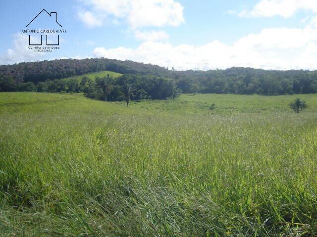 Terreno, 19 hectares - Foto 25