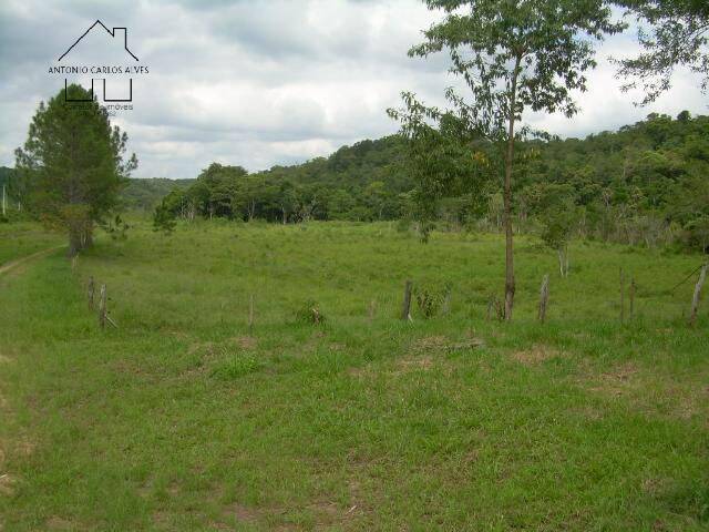 Terreno, 19 hectares - Foto 30