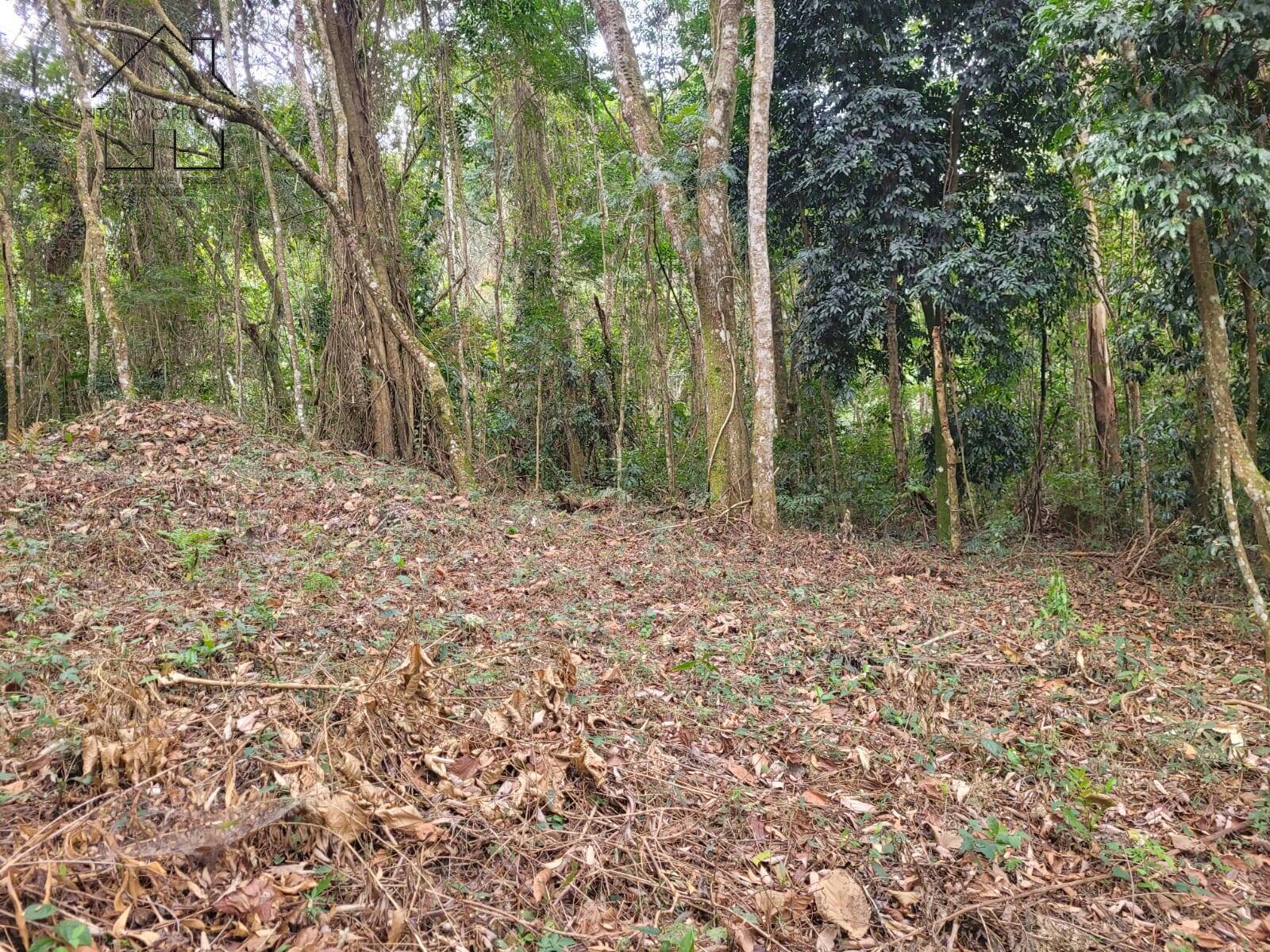 Terreno, 6 hectares - Foto 6
