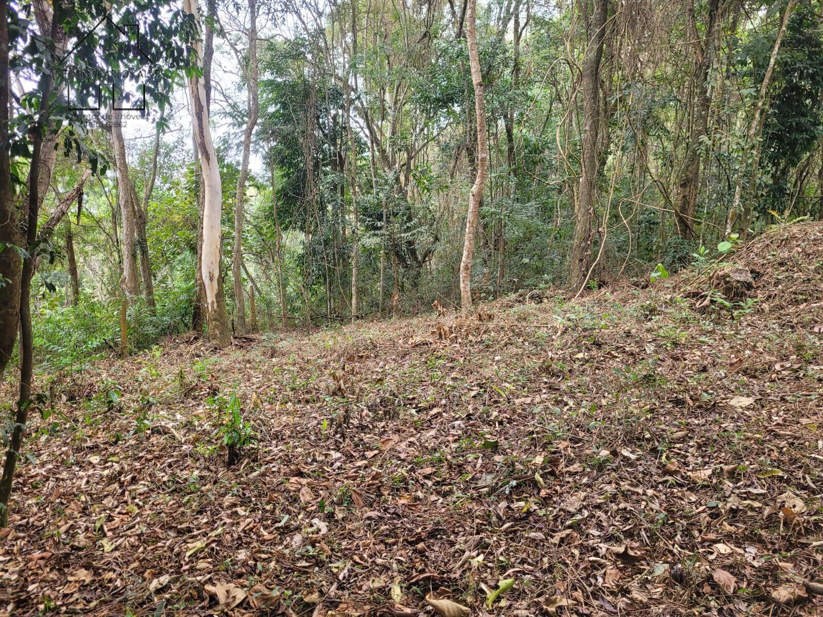 Terreno, 6 hectares - Foto 10