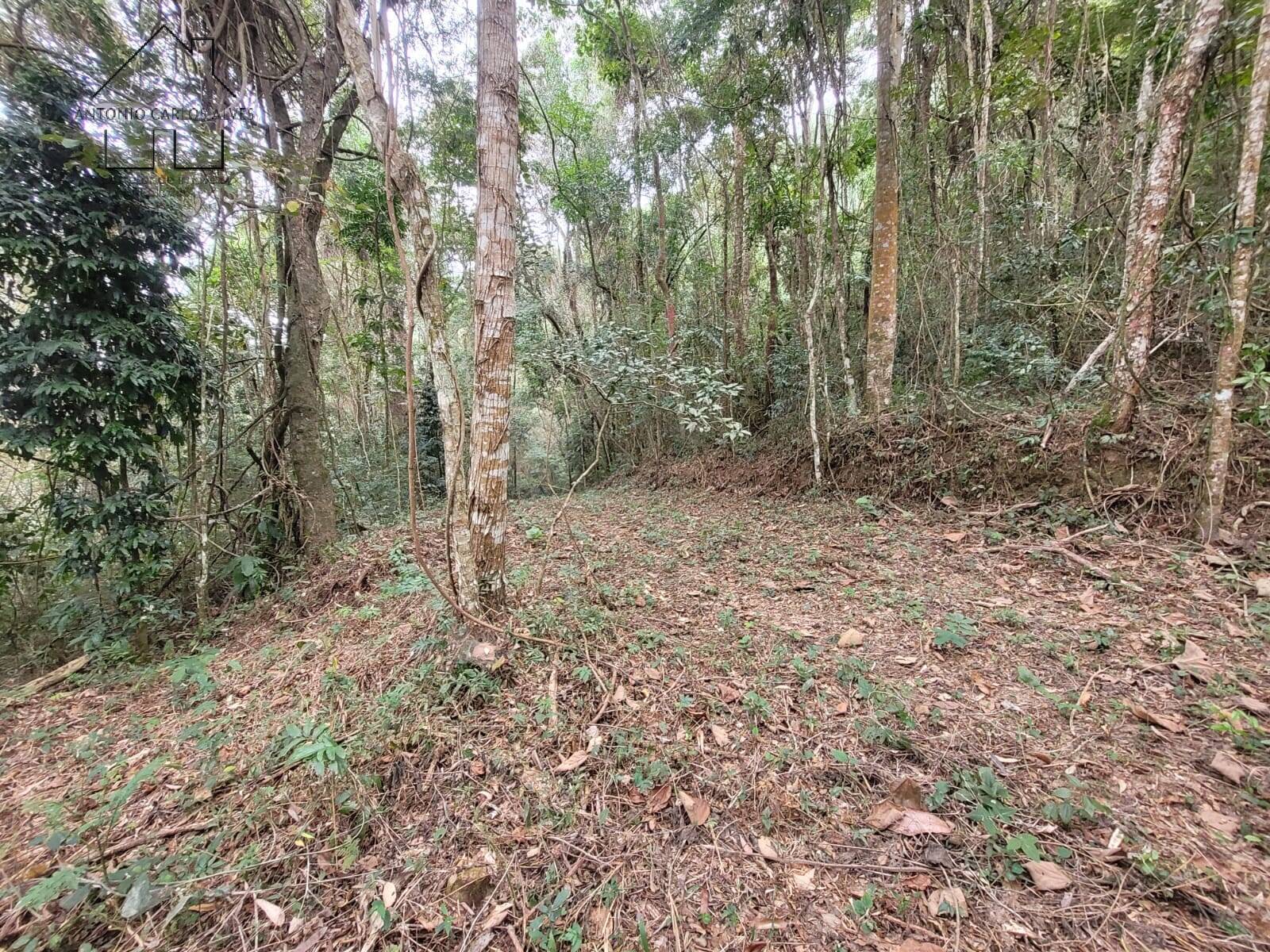 Terreno, 6 hectares - Foto 12