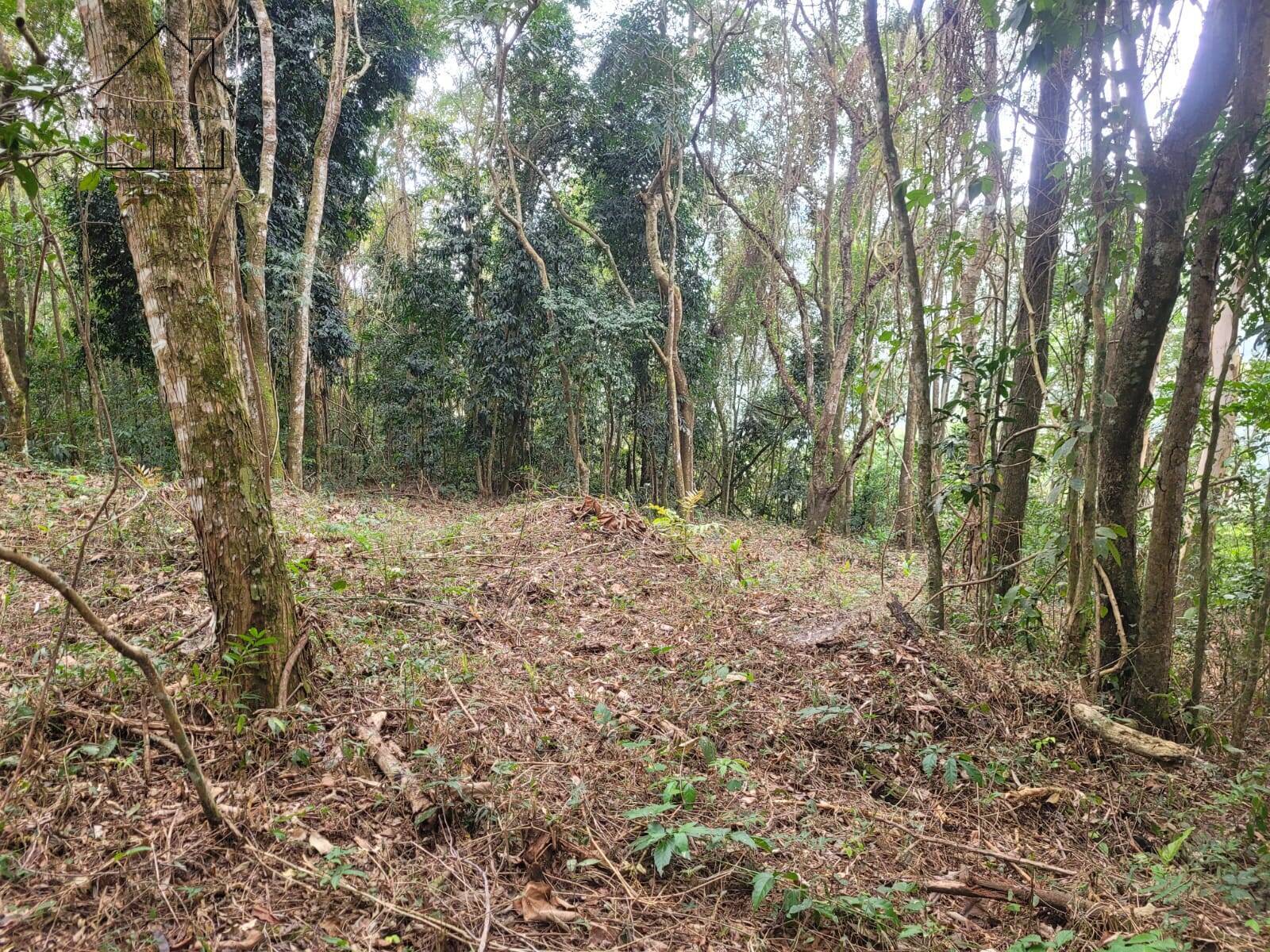 Terreno, 6 hectares - Foto 11
